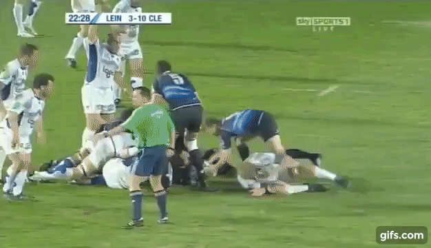 Heaslip v Clermont 2010.gif