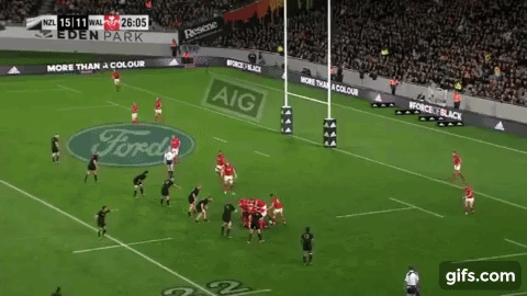 naholo-aerial-ability-1