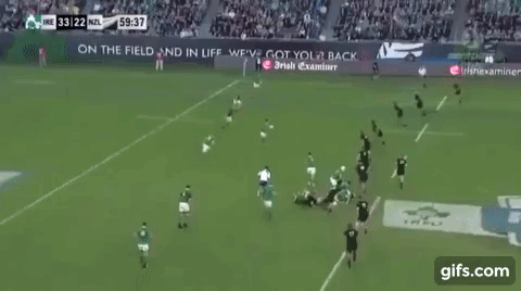 Stander 2 (Carry).gif