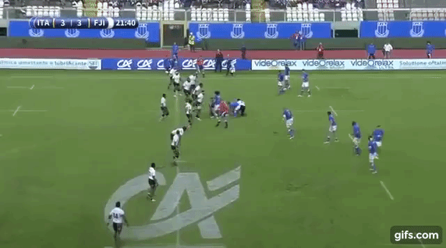 Fiji Passive Defence 3 (v Italy - November Test)