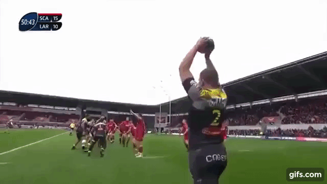 Beirne Counter-Mauling 1