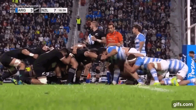 Arg Scrum 2 (v NZ - Test 2)
