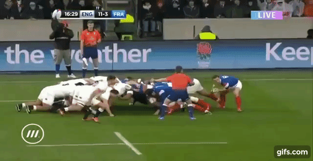 Bastareaud 1 (v Eng 2019)