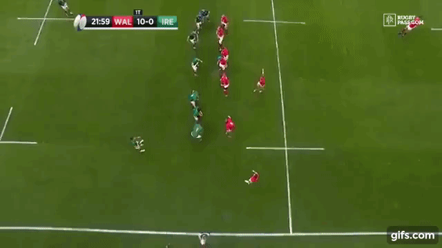 Ire Maul (v Wal 2019)