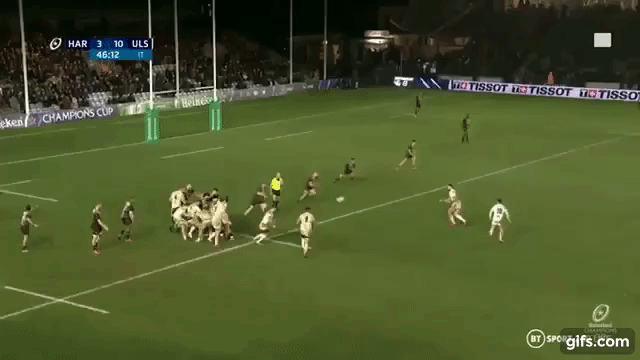 McCloskey 1 (v Harl 2019)